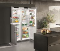 冰箱中的天花板，Liebherr 利勃海尔BluPerformance 冰箱SBSes 8...