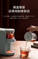 Master Kitchen 冲泡大师｜纵享秋冬浓醇茶饮生活