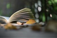 【米兰壁纸墙布窗帘】一期一会丨只为留住你我的朝暮与日月