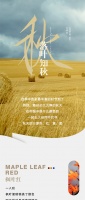 【领绣】霜降，把秋天的色彩印在墙上，你最爱哪个呢？
