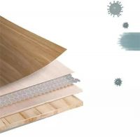 千年舟天然豆香抗菌生态板，助您离绿色健康家居生活更「净」一步！