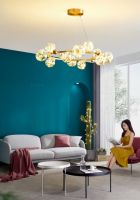 双十一爆款五折，美力不打折| 月影家居将国民普惠进行到底