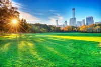 纵享天然氧吧呼吸的自由畅快,利辛文德艺墅把公园搬回家