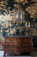 原生高级美 欧典思家黑胡桃地板