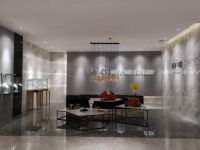 纽芬特瓷砖：探寻潮流和艺术的融合，打造全新生活理念