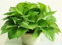 新房甲醛污染需要密闭多久检测更准确？关键在于用什么检测