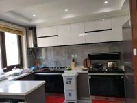 “双11”最值得入手的集成灶为什么是火星人?让我们听听用户怎