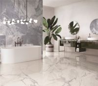 还在看瓷砖十大品牌排行榜？或许新梦想更适合你！