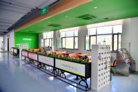 副省长蔡东调研可喜安、敖东药业、东华原等企业