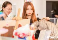 “吸猫族”的福音来了：一键防猫藓，妙招在此