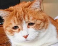 新房这些症状比较“反常” 入住后你需要警惕起来