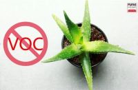 家装双十一买什么 德国浦芬丝涂料你不容错过