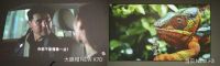 同为真1080P投影仪，当贝NEW F3和大眼橙NEW X7D谁的性能更强？