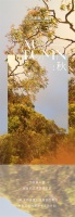 【布朗斯·臻品】AUTUMN | 秋末入室 细说秋风里的雅痞生活