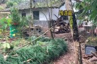 他改造荒废23年的农村小院，将废旧院子变成世外桃园，网友：向往