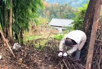 他改造荒废23年的农村小院，将废旧院子变成世外桃园，网友：向往