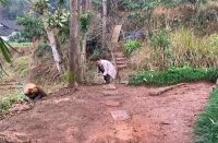 他改造荒废23年的农村小院，将废旧院子变成世外桃园，网友：向往