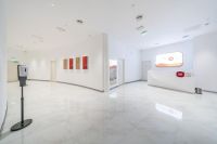 迪拜世博会中国馆,蒙娜丽莎多元场景运用展实力