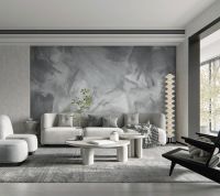 8小时焕新家 | 天洋新品壁画拯救背景墙，唤醒家的自然力