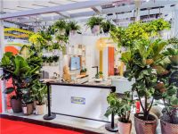 第四届进博会：展望绿色未来，让发展更可持续