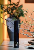 《安邸AD》发布暨创刊十周年活动