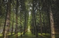 喜讯丨「2021消费者信赖十大辅材品牌」出炉！千年舟再获大众认可