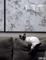 巴黎大女主的安身所需——极简大宅、骑士勋章和猫