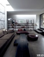 巴黎大女主的安身所需——极简大宅、骑士勋章和猫