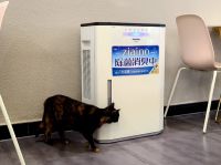 好物分享 | 松下ziaino次亚诺空间除菌消臭机 猫咖里的净化器太神奇了！