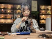 陆婕婕:乡村振兴工艺美术师 谱写紫砂艺术文化新篇章