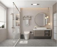 【全瓷中板】450X900MM·双零低吸·假一赔十