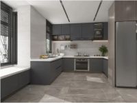 【全瓷中板】450X900MM·双零低吸·假一赔十