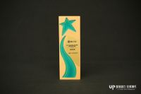 追光时代 载誉同行 柏厨家居一举斩获2021年度中国家居业三项重磅大奖