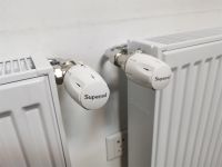 舒普瑞：作为北方人如何度过成都的冬天