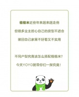 榻榻米装还是不装？先看看这篇百科全书式的介绍