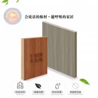 骏丰木链网-丰用多功能生态板创立者-板材家居细分行业引领者