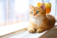 舒普瑞：五轮终极考核，成就极致温暖尖货