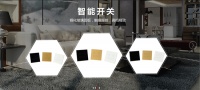 禧龙电器 款式精致品质稳定