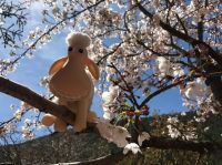 4个真相教会你：冬夜难眠这样睡，保暖舒适又透气