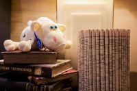 4个真相教会你：冬夜难眠这样睡，保暖舒适又透气