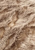 Harbor House丨感恩节暖心礼选,带你预见盈盈暖意