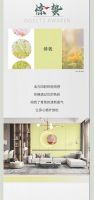 【领绣】《菲林27》二十四节气之春色季语