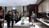 金富丽｜开启“集成化”征程，不早不晚，恰逢其时！