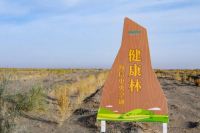 国货之光！海信中央空调获 “南山奖”及“卓越贡献奖”两项大奖
