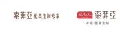 索菲亚重布棋局：发力整家定制 全新LOGO正式官宣