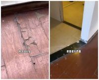 杭漂姐妹住进空置2年的房子，将破旧房屋翻新，网友：房东笑了