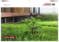 2022云南建博会|佰图家居：以打造本地高端定制品牌为使命，做老百姓消费的起的高端品质