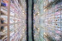 博洛尼发布“新六性”品牌哲学  共创时代下向“我”看