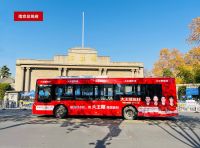 逐梦冠军，“红动”南京丨大王椰牵手国羽领跑营销新赛道