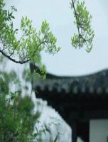 交控置地•龙锦院，带你走近“向往的生活”